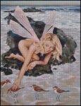 (image for) Seashore Fairy